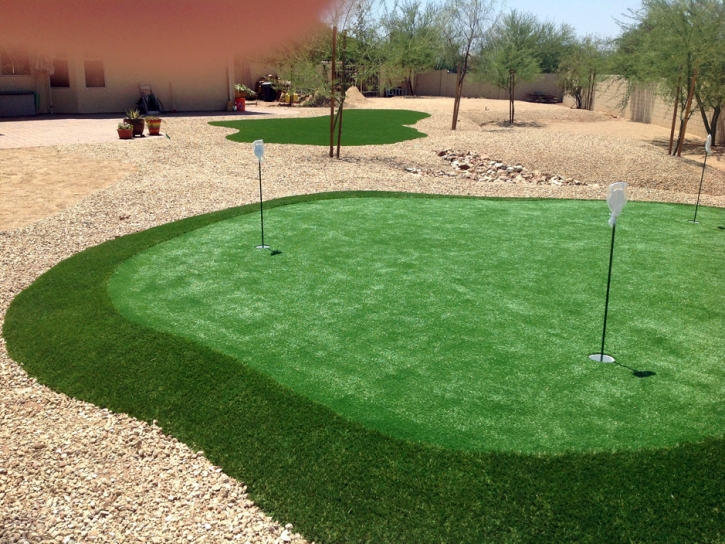 Fake Grass Vail, Colorado Indoor Putting Green, Small Backyard Ideas