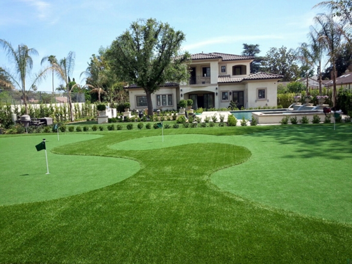 Fake Lawn Cottonwood, Colorado Lawn And Landscape, Front Yard Ideas