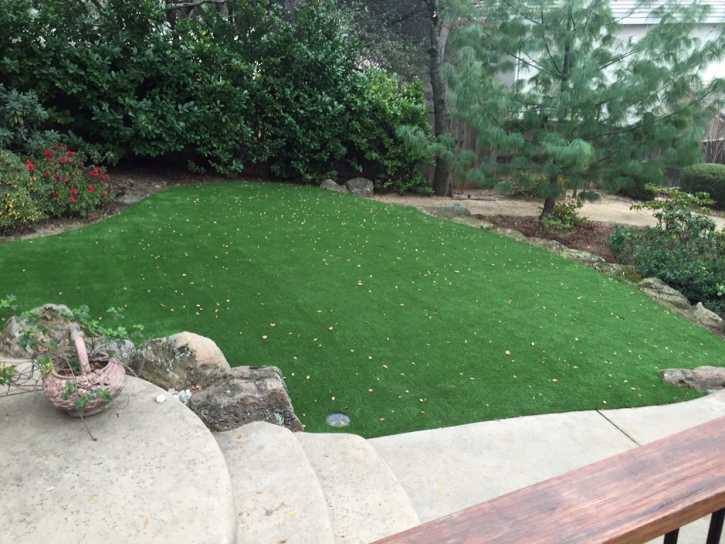 Fake Lawn Iliff, Colorado Landscaping, Backyard Landscape Ideas