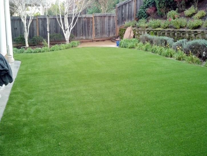 Fake Lawn Loma, Colorado Landscape Rock, Backyard Design