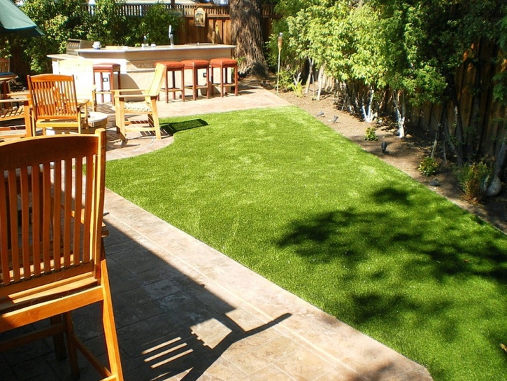 Fake Lawn Monument, Colorado Garden Ideas, Backyard Landscaping Ideas