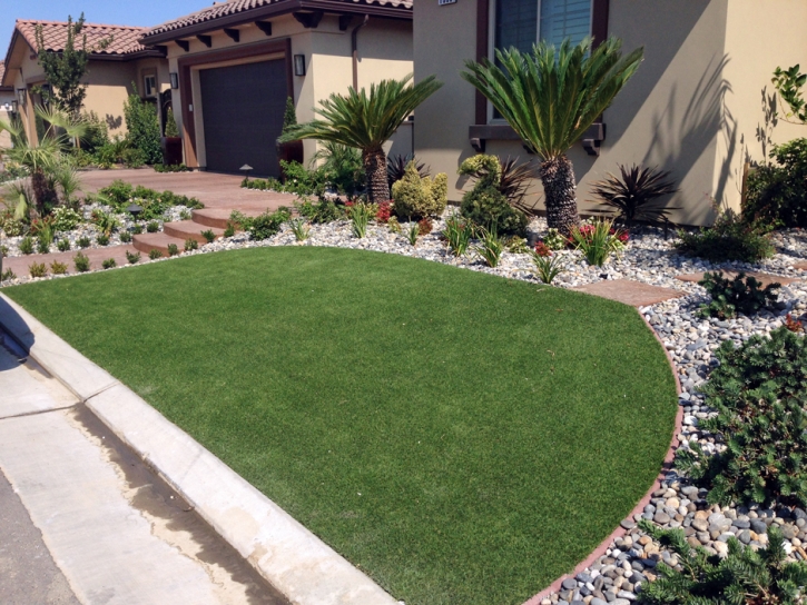 Fake Lawn Security-Widefield, Colorado Garden Ideas, Front Yard Landscaping Ideas