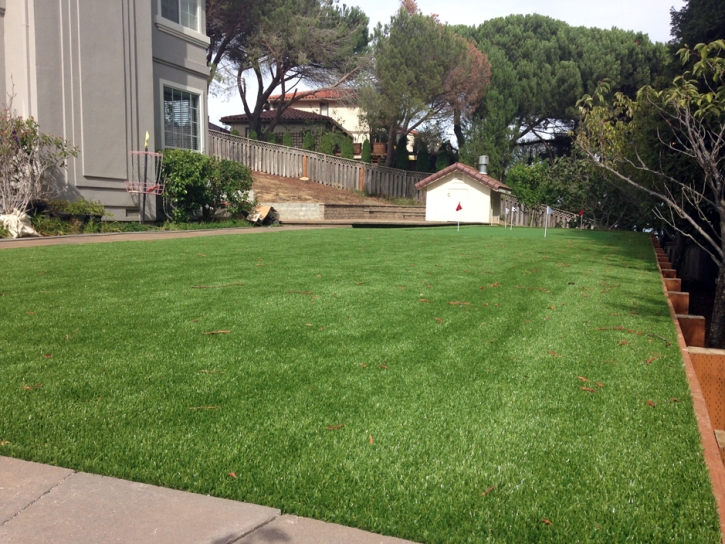 Fake Lawn Stratmoor, Colorado Putting Green, Backyard Landscaping