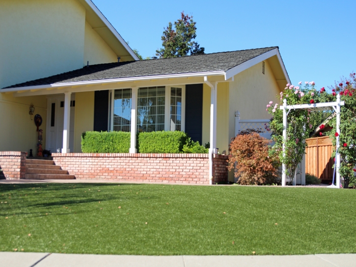 Fake Lawn Vineland, Colorado Landscaping, Front Yard