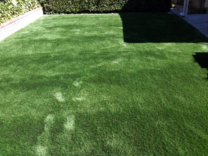 Fake Turf Bethune, Colorado Hotel For Dogs, Backyard Design