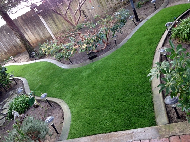 Fake Turf Blende, Colorado Roof Top, Backyards