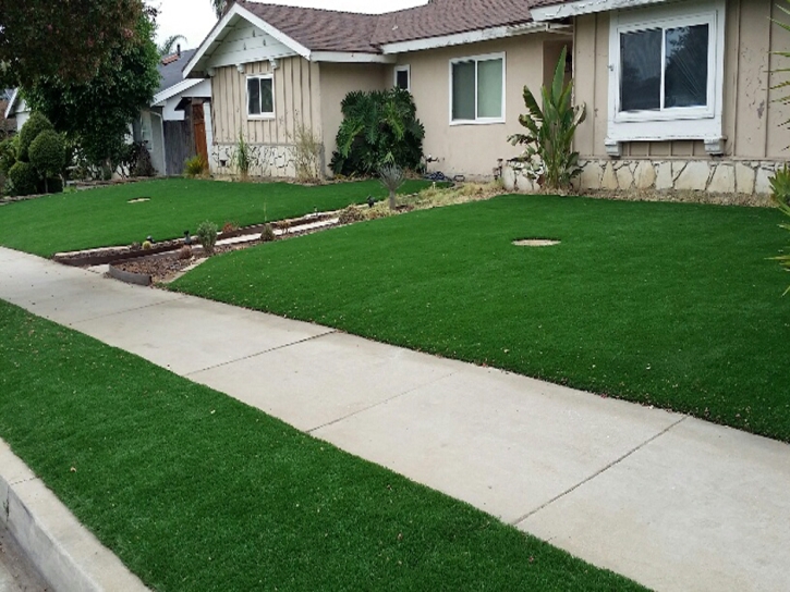 Fake Turf Gleneagle, Colorado Home And Garden, Front Yard Landscaping Ideas