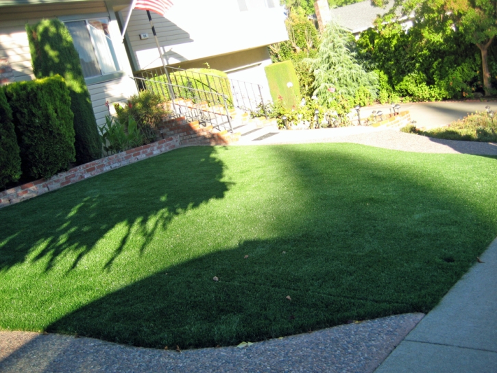 Fake Turf Iliff, Colorado Landscaping, Small Front Yard Landscaping