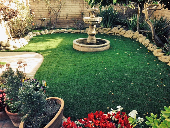 Fake Turf Kit Carson, Colorado Backyard Deck Ideas