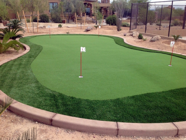 Fake Turf Louviers, Colorado Roof Top, Backyard Design