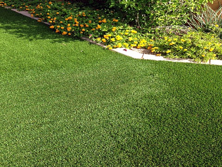 Fake Turf Ridgway, Colorado Backyard Playground, Landscaping Ideas For Front Yard