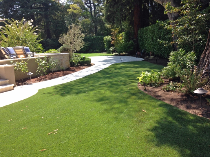 Fake Turf Rockvale, Colorado Lawn And Landscape, Backyard Design