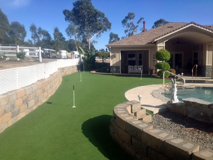 Fake Turf Twin Lakes, Colorado Outdoor Putting Green, Beautiful Backyards