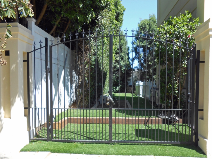 Faux Grass Genesee, Colorado Gardeners, Landscaping Ideas For Front Yard