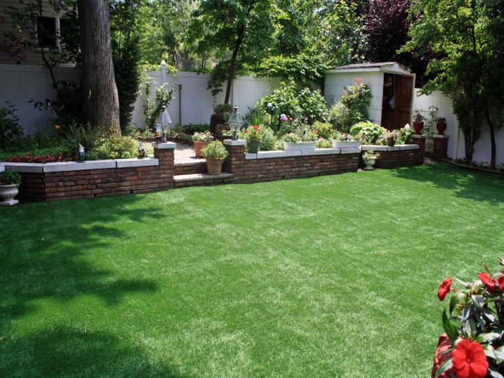 Faux Grass Loghill Village, Colorado Rooftop, Backyard Landscaping Ideas