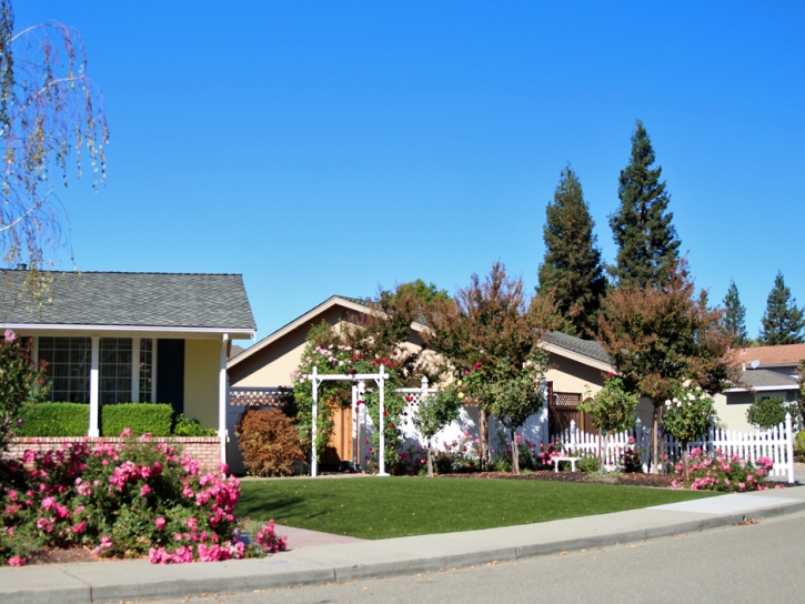 Faux Grass Pueblo West, Colorado Landscaping, Landscaping Ideas For Front Yard