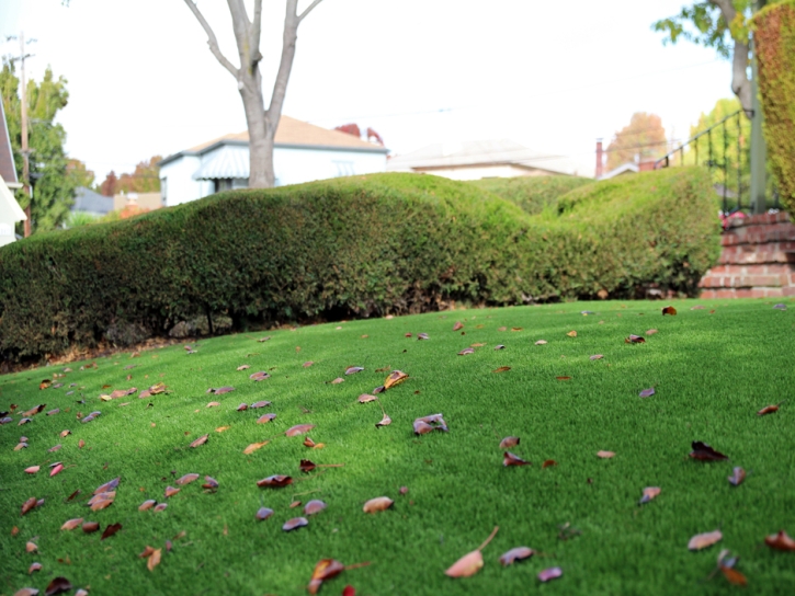 Faux Grass Sedalia, Colorado Landscaping Business, Front Yard Landscape Ideas