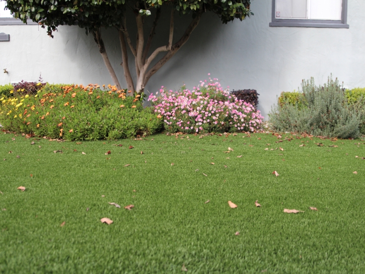 Faux Grass Yuma, Colorado Lawns, Front Yard Landscape Ideas