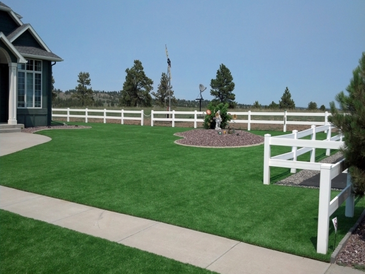 Grass Carpet Applewood, Colorado Landscaping Business, Front Yard