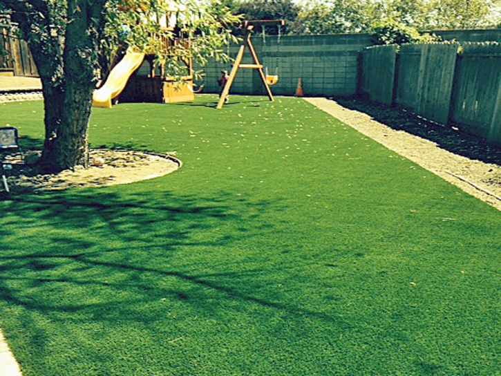 Grass Carpet Dove Valley, Colorado Athletic Playground, Backyard Ideas