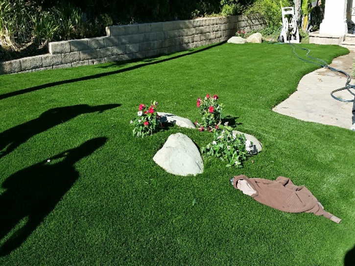 Grass Carpet Fraser, Colorado Landscape Rock, Front Yard Landscaping