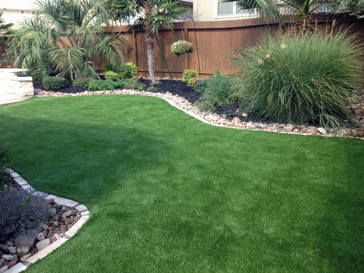 Grass Carpet Lone Tree, Colorado Dog Park, Backyard Landscaping Ideas