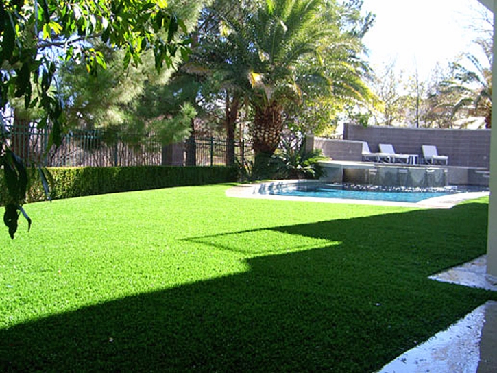 Grass Carpet New Castle, Colorado Landscaping, Backyard Garden Ideas