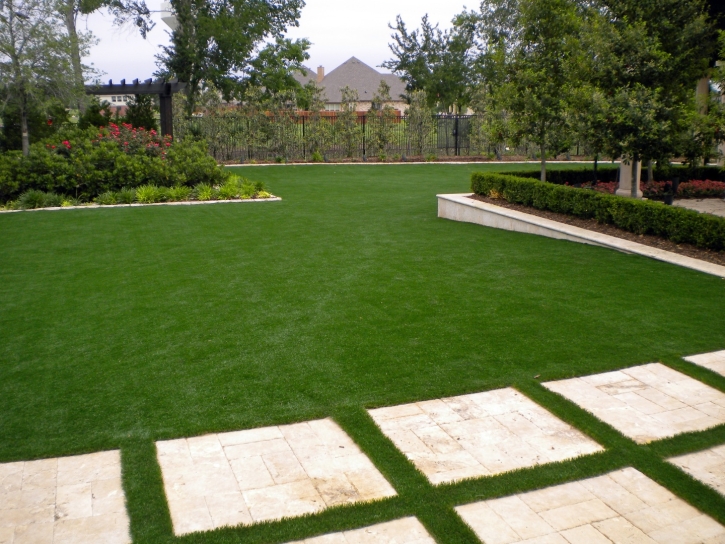 Grass Carpet Superior, Colorado Paver Patio, Small Backyard Ideas