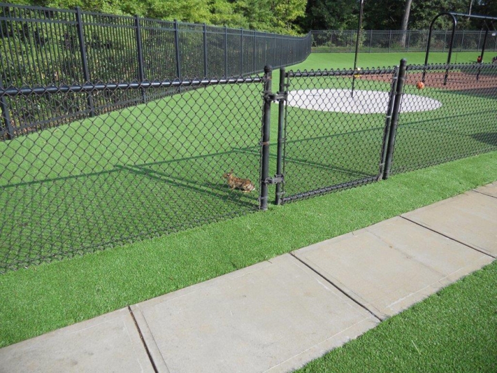 Grass Installation Beulah Valley, Colorado Lacrosse Playground, Parks