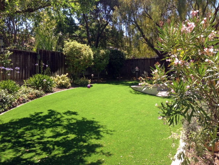 Grass Installation Lyons, Colorado Landscaping Business, Backyard Landscaping