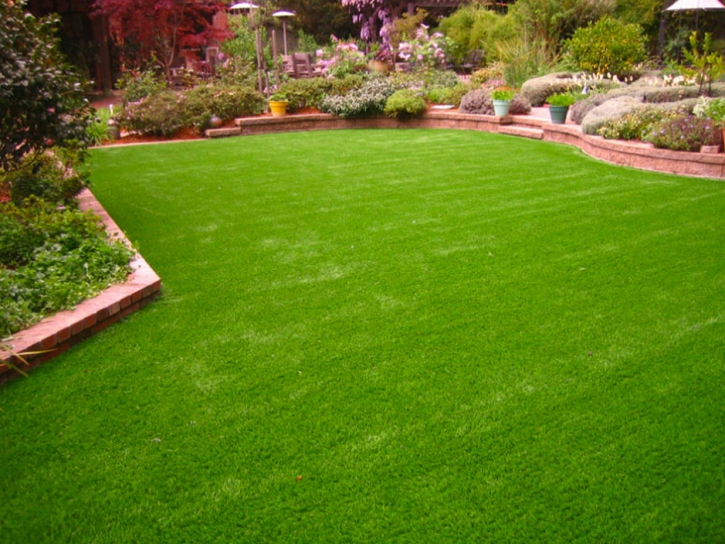 Grass Turf Berthoud, Colorado Lawn And Landscape, Backyard Ideas