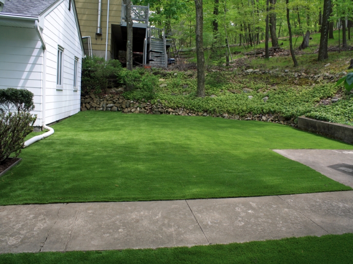 Grass Turf Olathe, Colorado Landscaping, Front Yard Landscaping Ideas