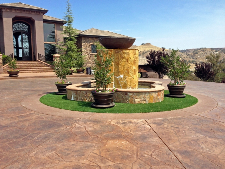 Grass Turf Poncha Springs, Colorado Roof Top, Front Yard Landscape Ideas