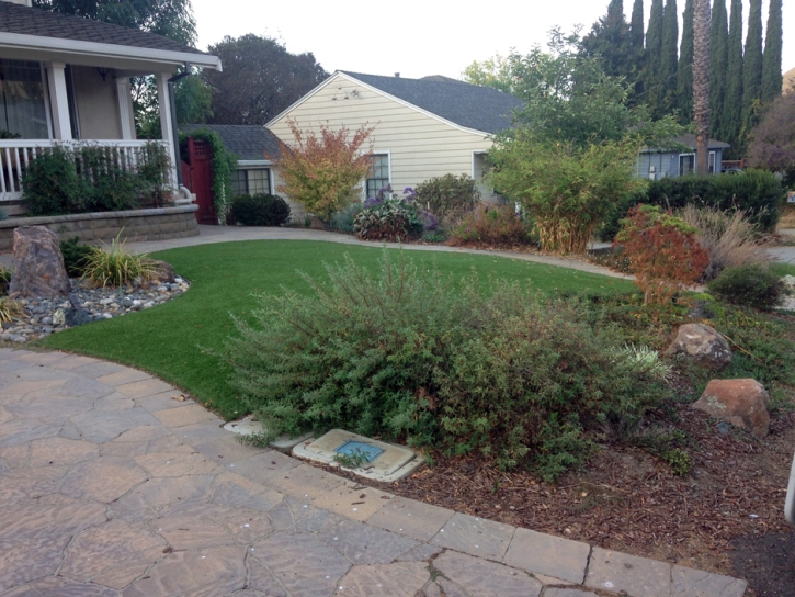 Grass Turf Sanford, Colorado Landscaping Business, Front Yard