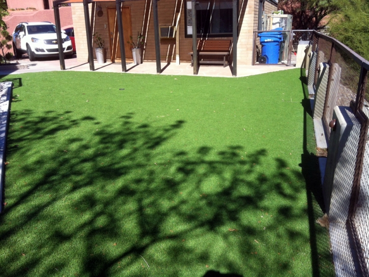 Grass Turf Woody Creek, Colorado Backyard Playground, Backyard Designs