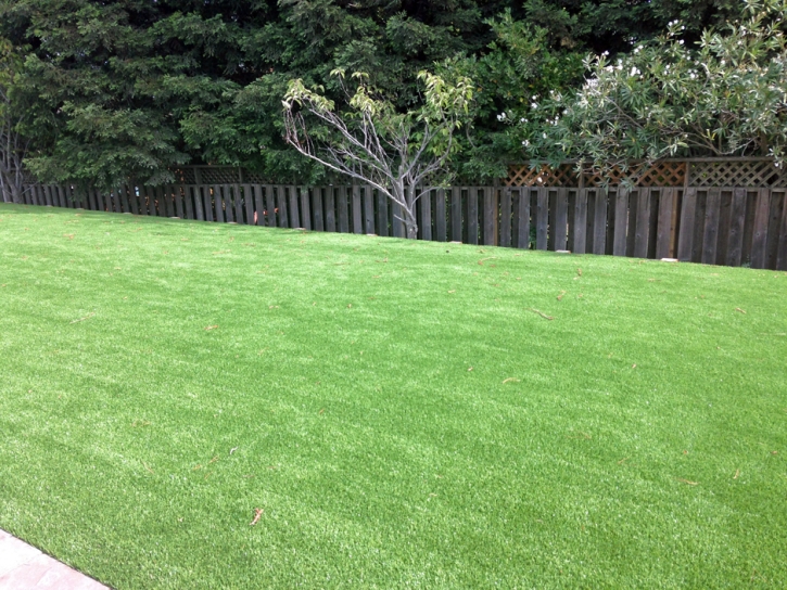 Green Lawn Blende, Colorado Lawn And Landscape, Backyard Landscape Ideas