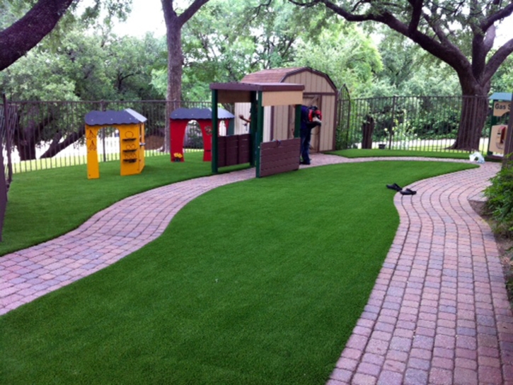 Green Lawn Campion, Colorado Design Ideas, Commercial Landscape