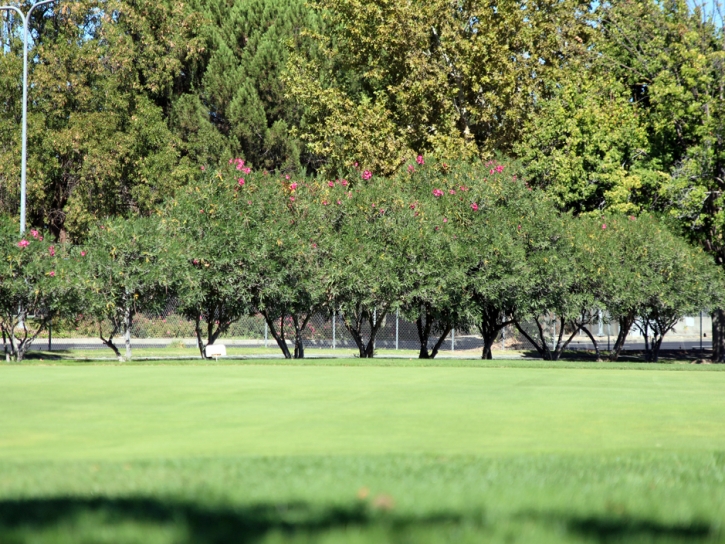 Green Lawn Cascade-Chipita Park, Colorado Artificial Putting Greens