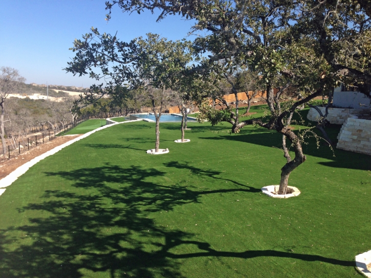 Green Lawn Centennial, Colorado Lawns, Backyards