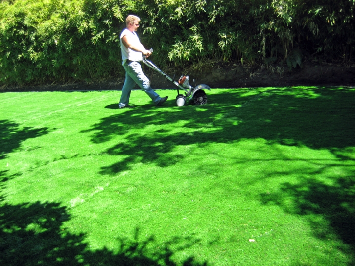 Green Lawn Colorado City, Colorado Landscape Photos, Backyard Garden Ideas