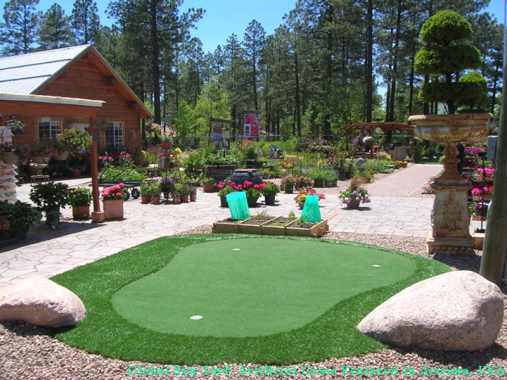 Green Lawn Glendale, Colorado Putting Green, Backyard Makeover