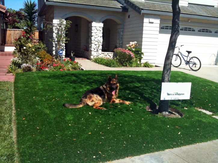 Green Lawn Grand View Estates, Colorado Landscape Design, Small Front Yard Landscaping