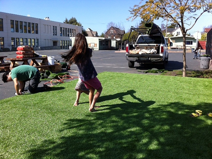 Green Lawn Monte Vista, Colorado Lawn And Garden, Commercial Landscape