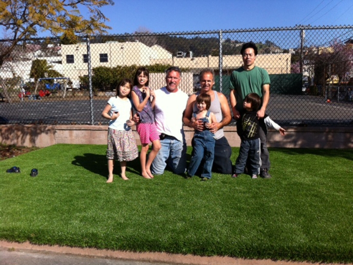 Green Lawn Palisade, Colorado Backyard Playground, Commercial Landscape