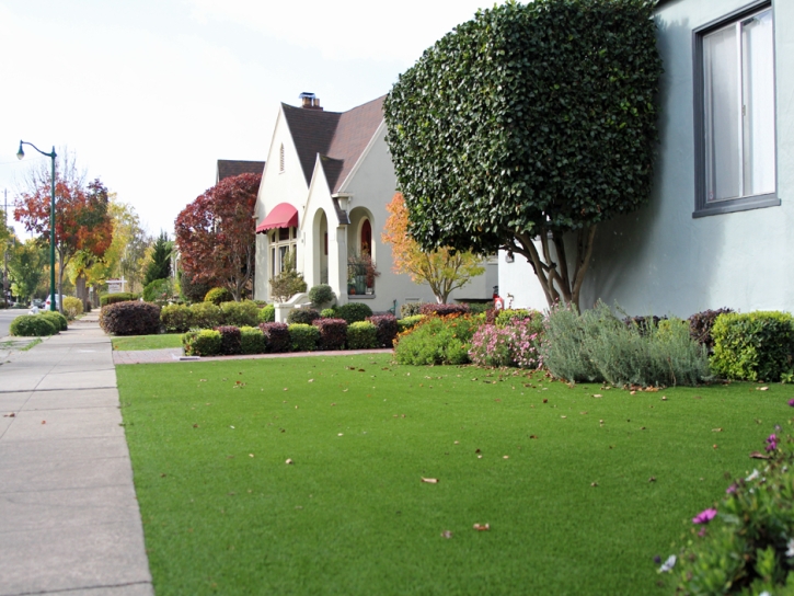 Green Lawn Strasburg, Colorado Lawn And Garden, Front Yard Design