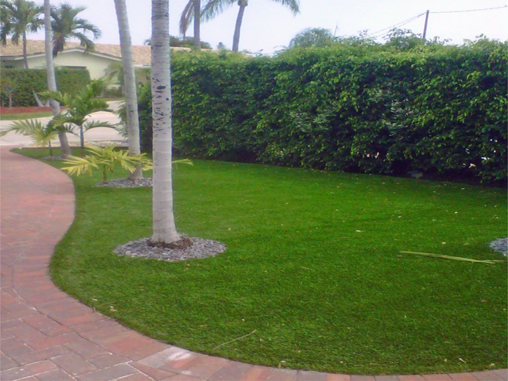 Green Lawn Stratton, Colorado Landscaping, Front Yard Landscaping Ideas