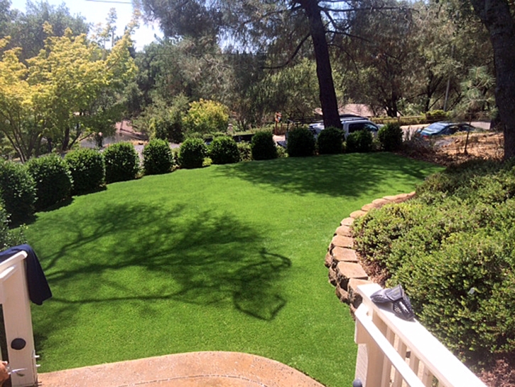 How To Install Artificial Grass Romeo, Colorado Roof Top, Backyard Ideas