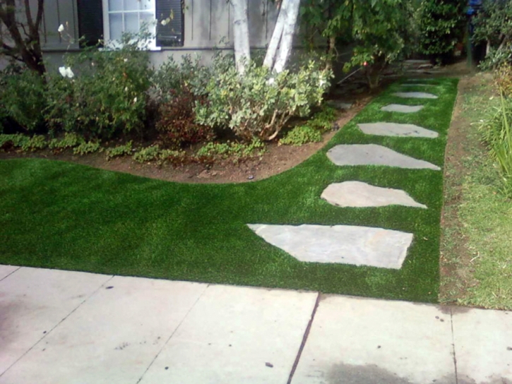 Installing Artificial Grass Granada, Colorado Home And Garden, Front Yard Landscaping