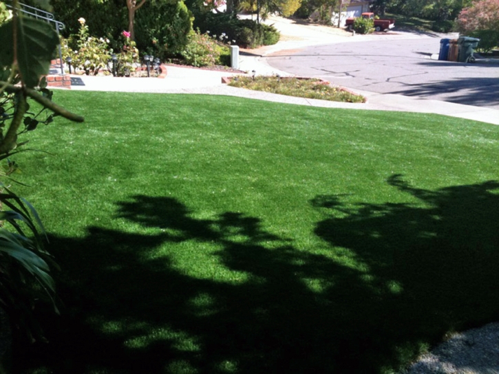 Installing Artificial Grass New Castle, Colorado Design Ideas, Front Yard Design