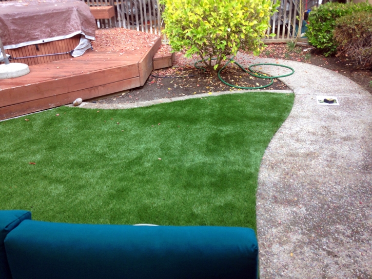 Lawn Services Coal Creek, Colorado City Landscape, Backyard Ideas